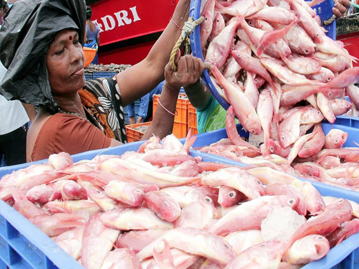 Fisheries Development Corporation